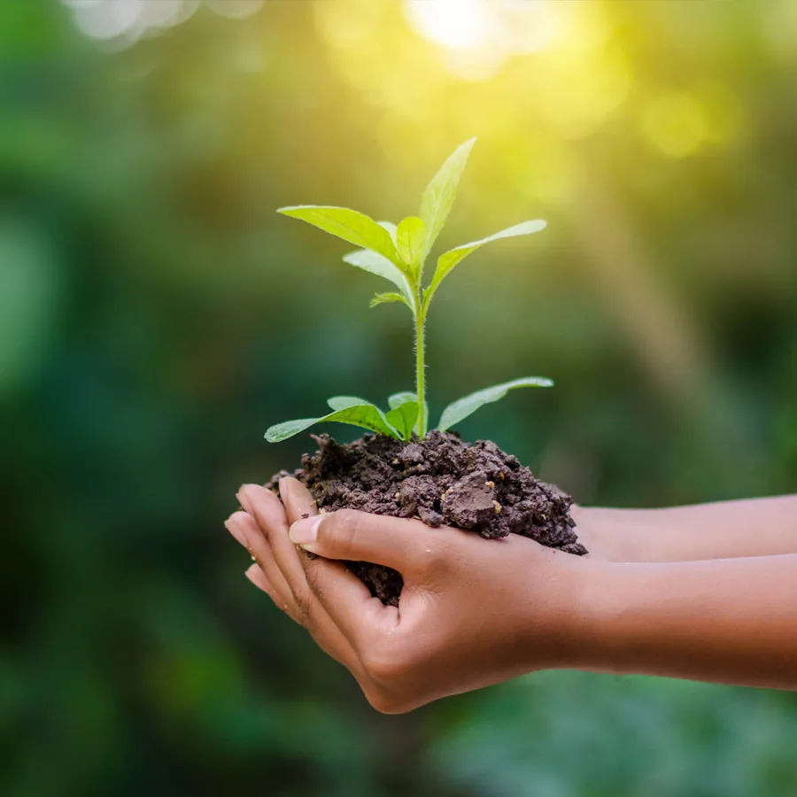Journée mondiale de l'environnement