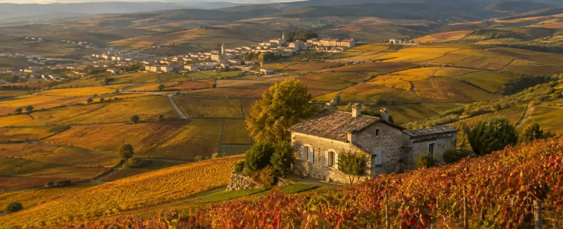 Vignobles et villages du Beaujolais en automne
