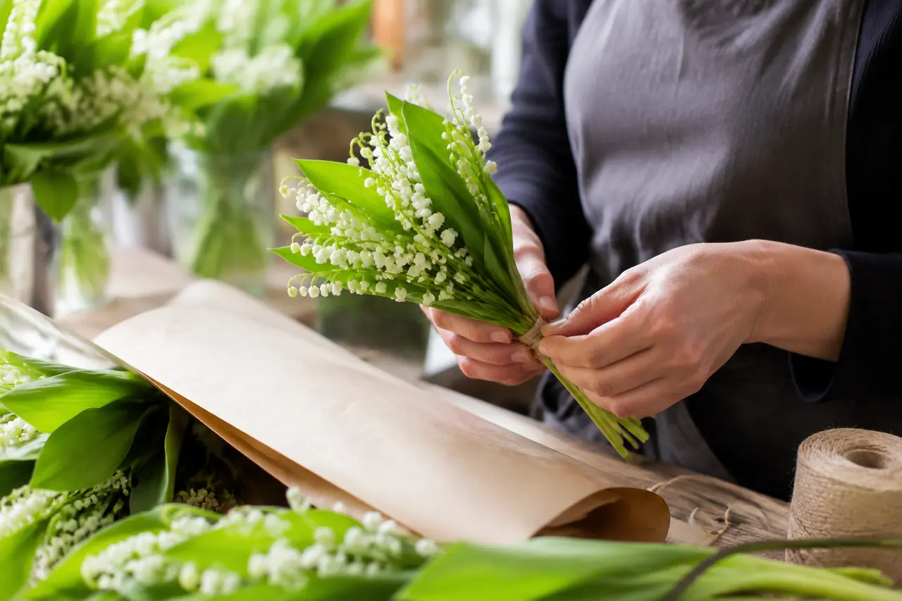 Fleuriste préparant des brins de muguet pour le 1er mai